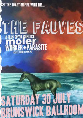 THE FAUVES accountants power points this SAT 30 JULY